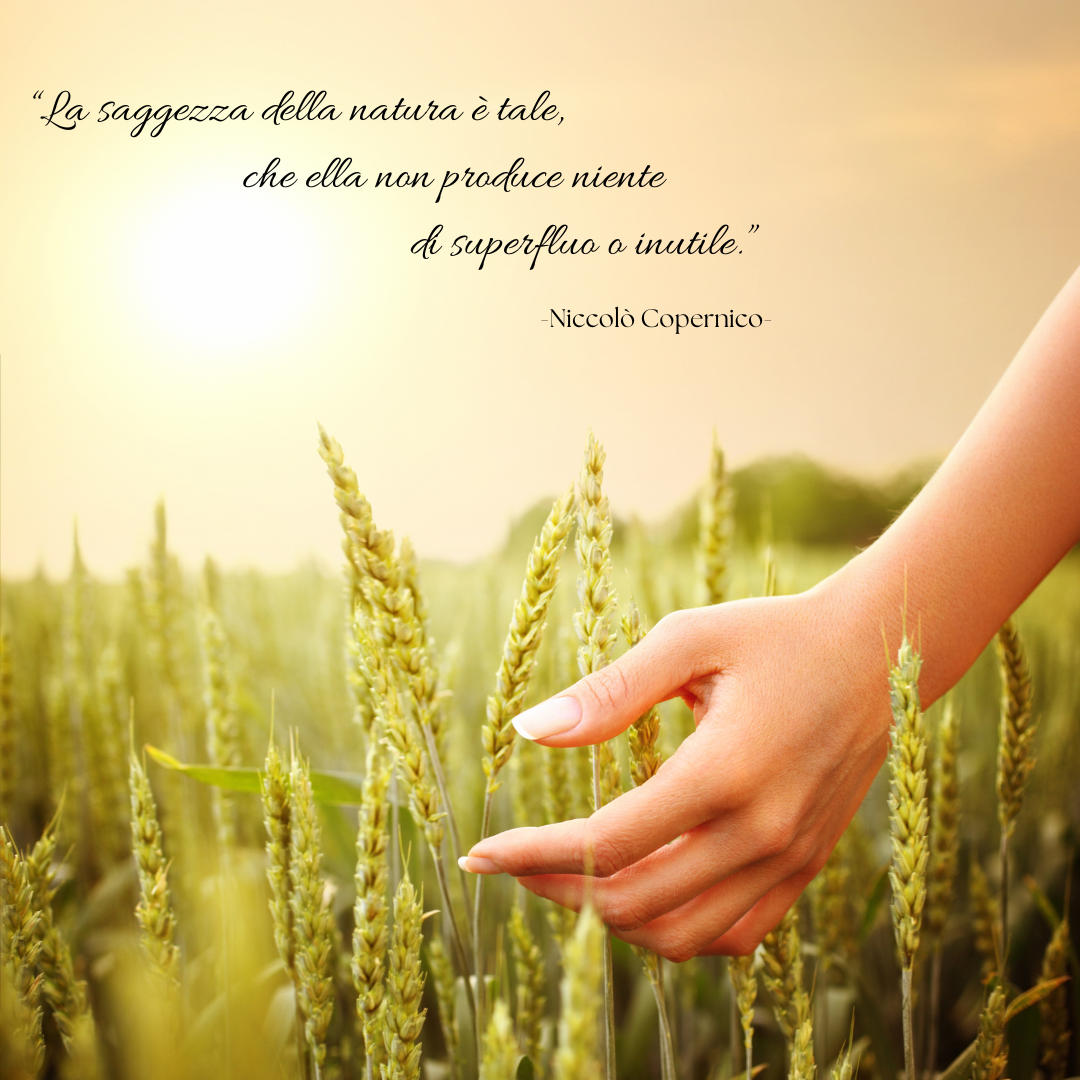 Perché è IMPORTANTE avere  uno stile di Vita BIO